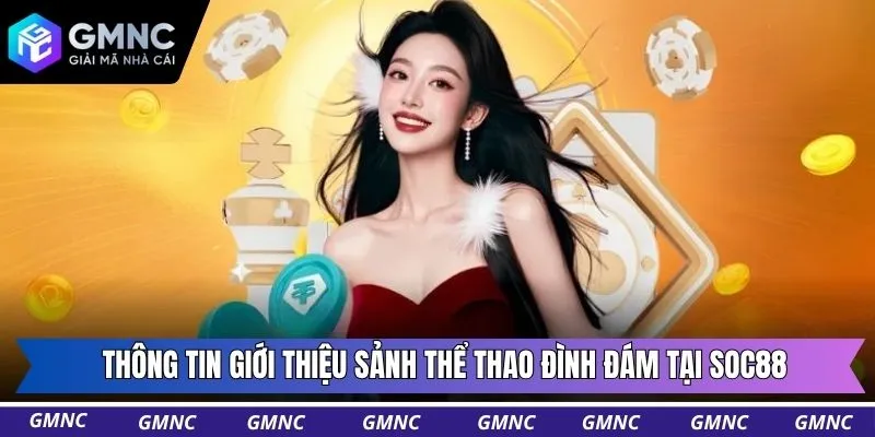 Thông tin giới thiệu sảnh thể thao đình đám tại Soc88